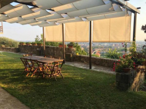 L'Antico Noce - Bergamo Bergamo